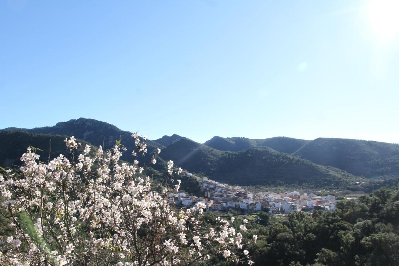 El Colmenar