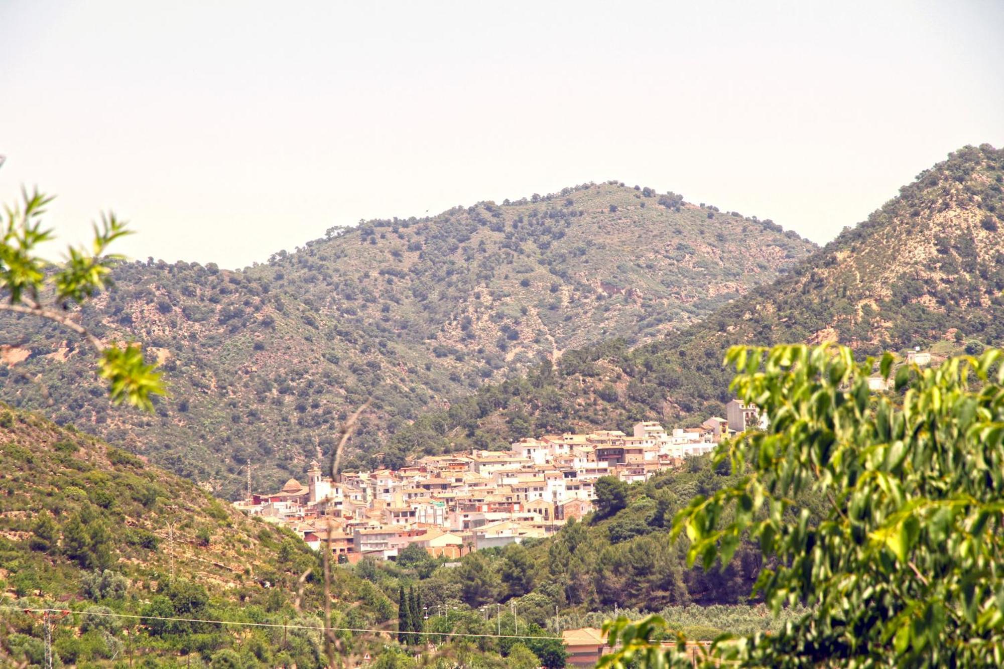 El Colmenar Chovar
