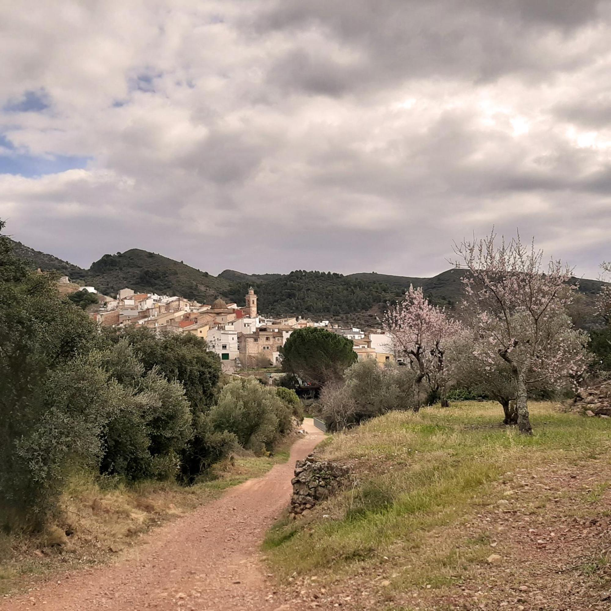 Casa rural El Colmenar Chovar